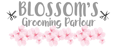 Blossoms Grooming Parlour